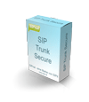 Secure Voice over IP SIP Trunk